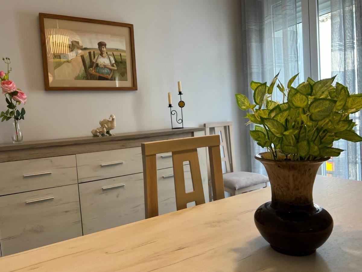 Apartamento La Pelota De Loren コルドバ エクステリア 写真